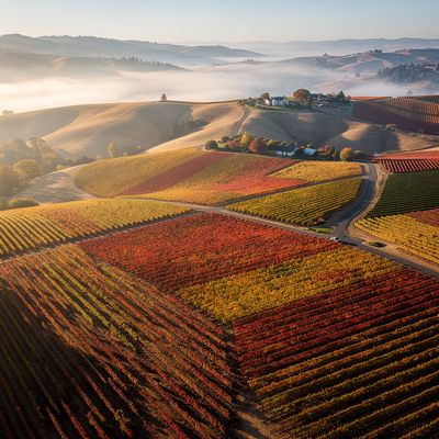 All Wineries