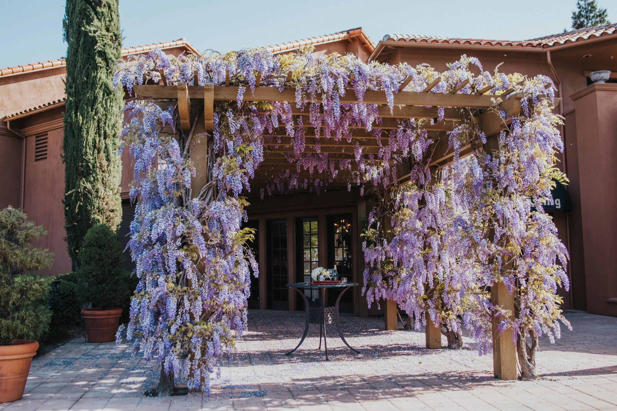 Bennett Lane Winery