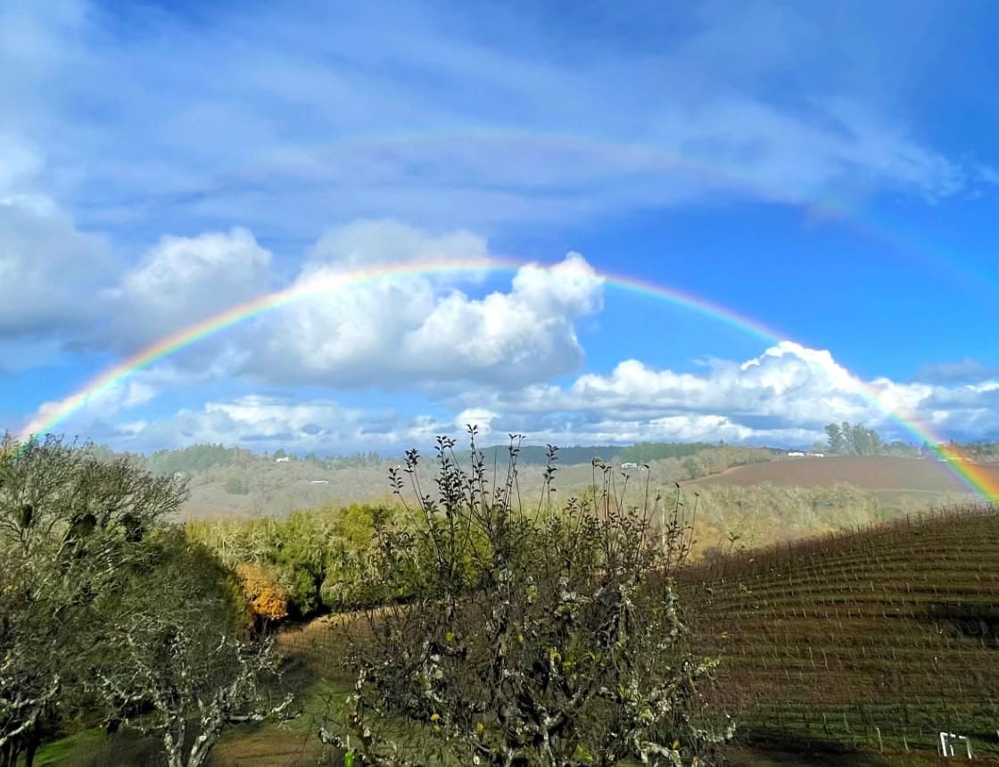 Iron Horse Vineyards