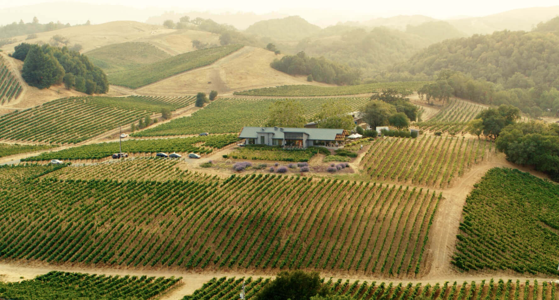 MacRostie Winery & Vineyards