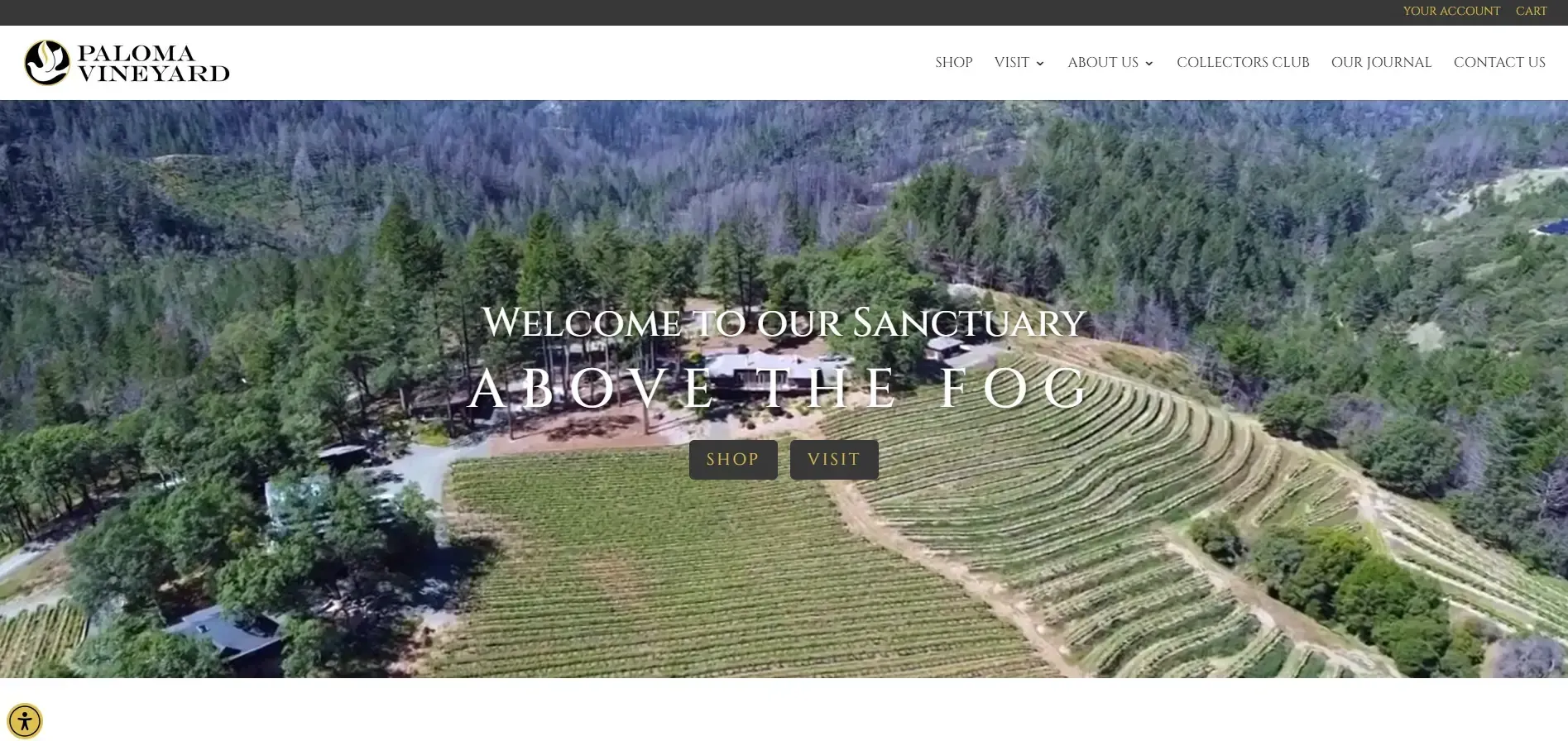 Paloma Vineyard