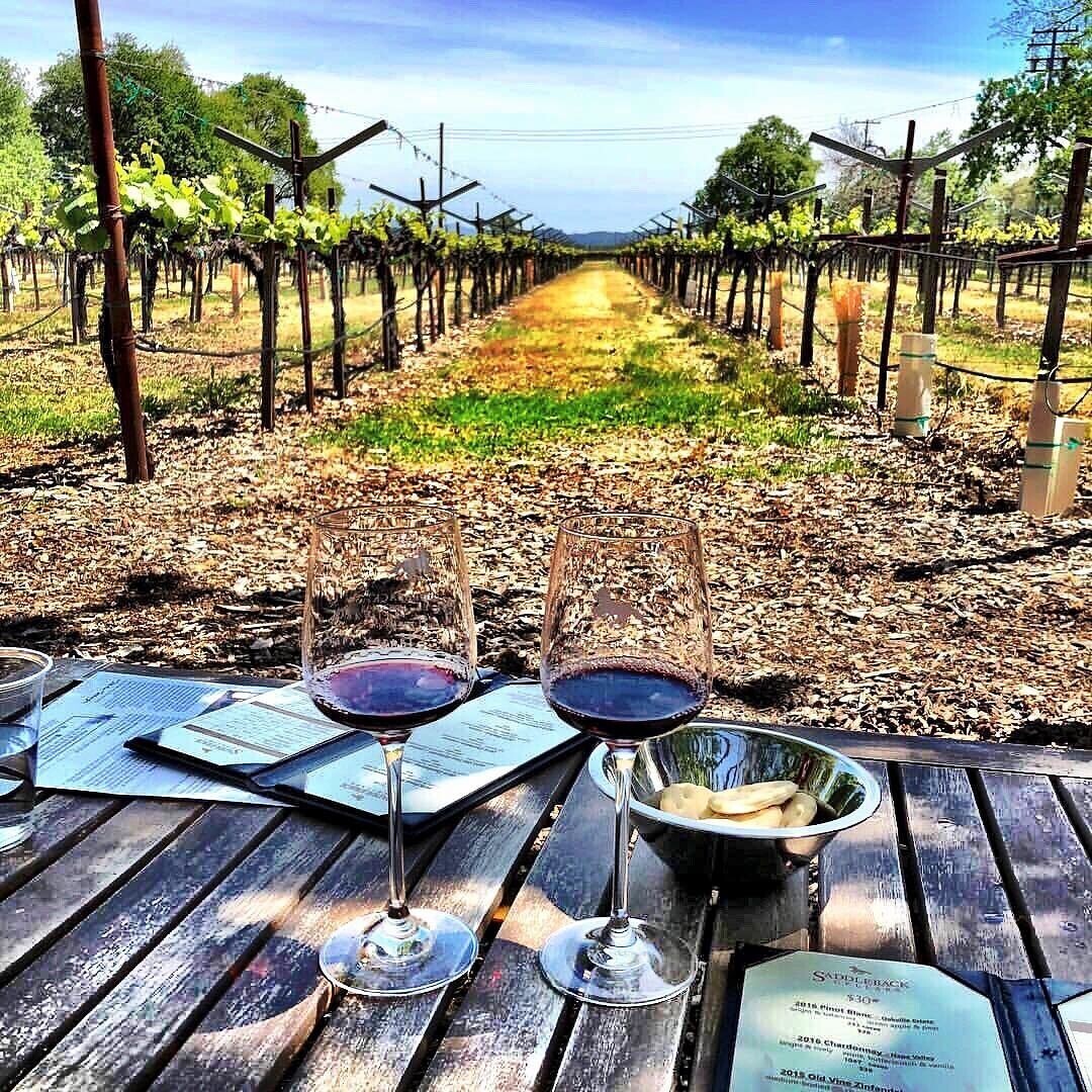 Saddleback Cellars