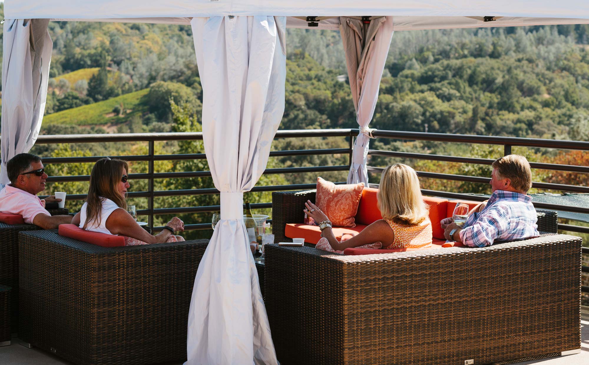 Sbragia Family Vineyards