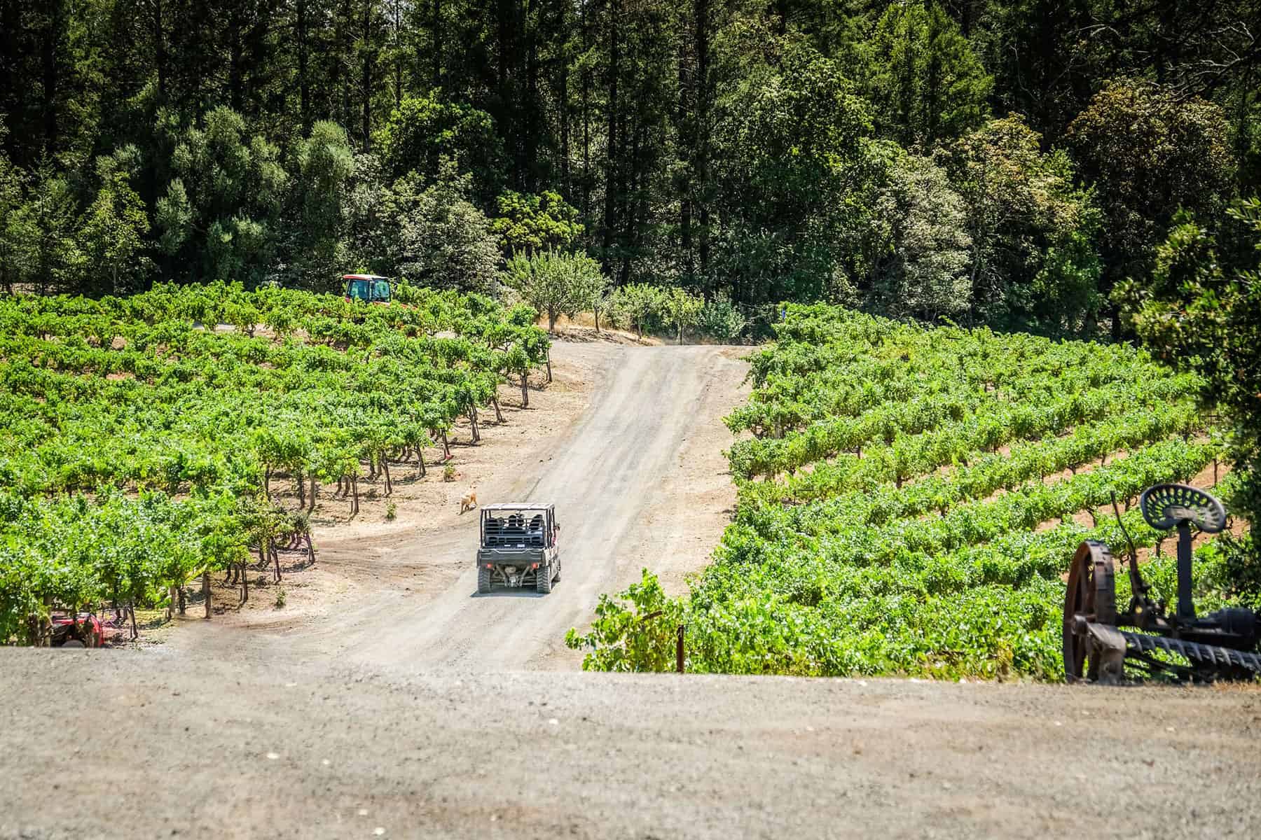 Schweiger Vineyards