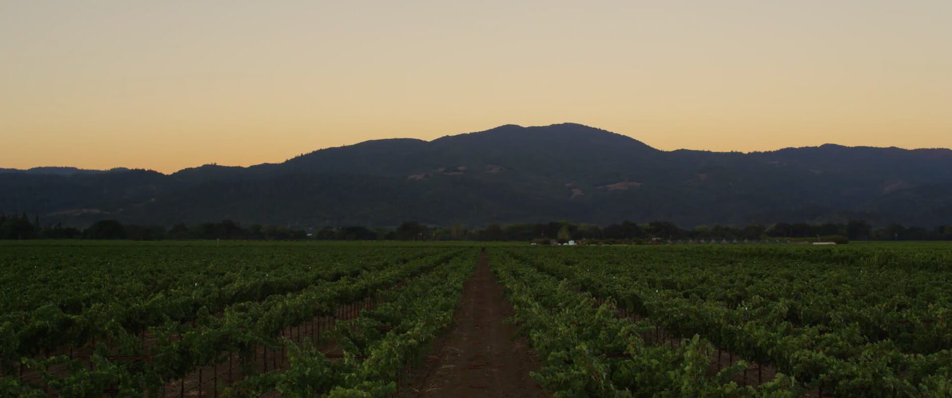 Tor Kenward Family Wines