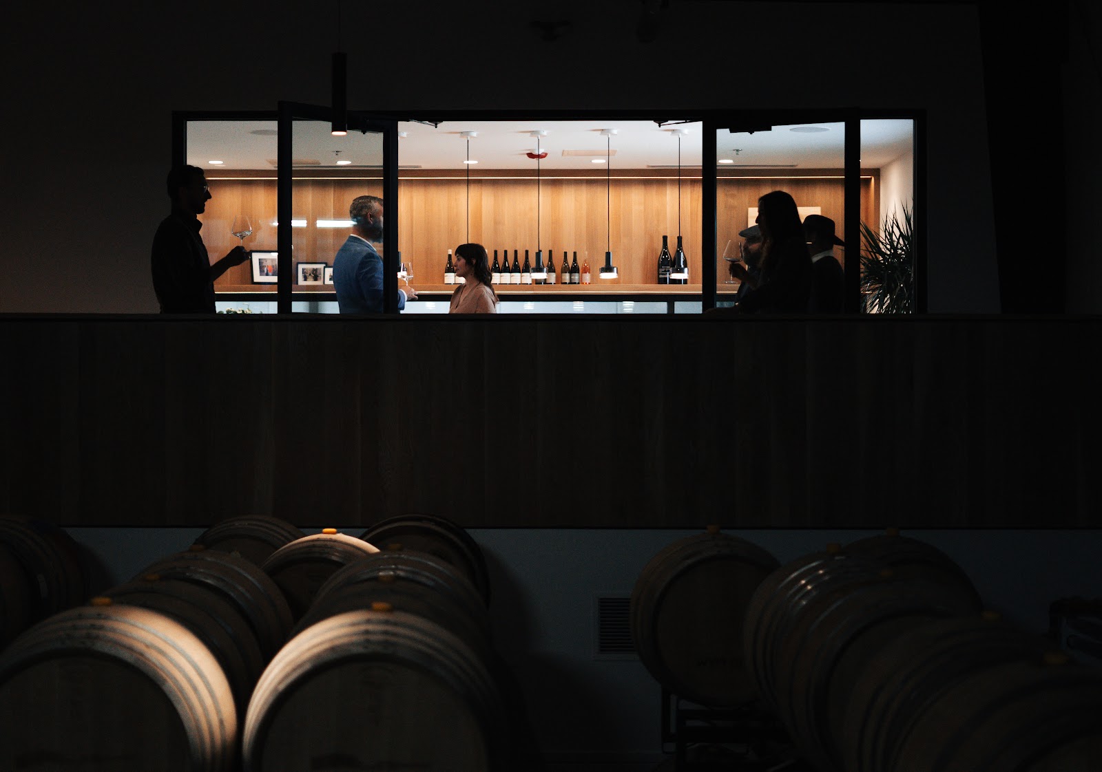 Wayfarer Vineyard